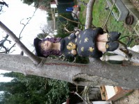 Bruja-Ref.007